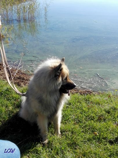 14.10.2017 - Ob mich das Wasser beisen wird?